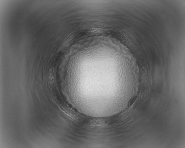 X0000051250179200507082200