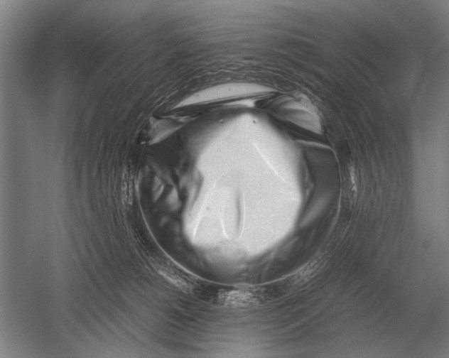 X0000051250180200507082200