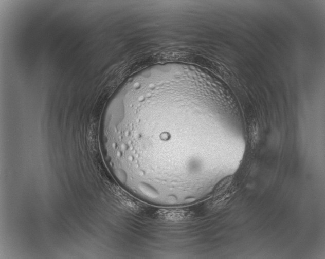 X0000051250181200507082200