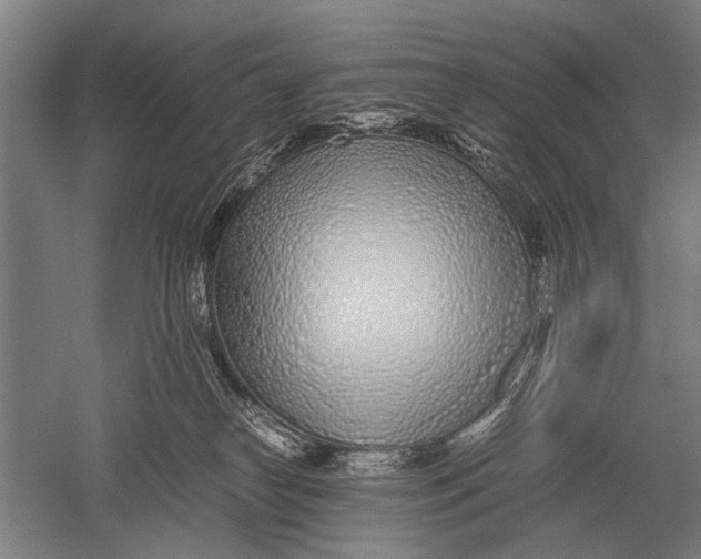 X0000051250182200507082200