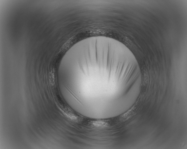 X0000051250183200507082200