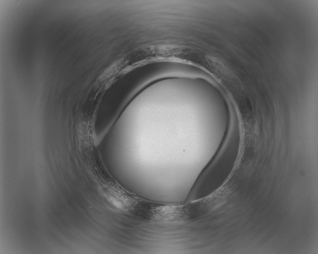 X0000051250184200507082200