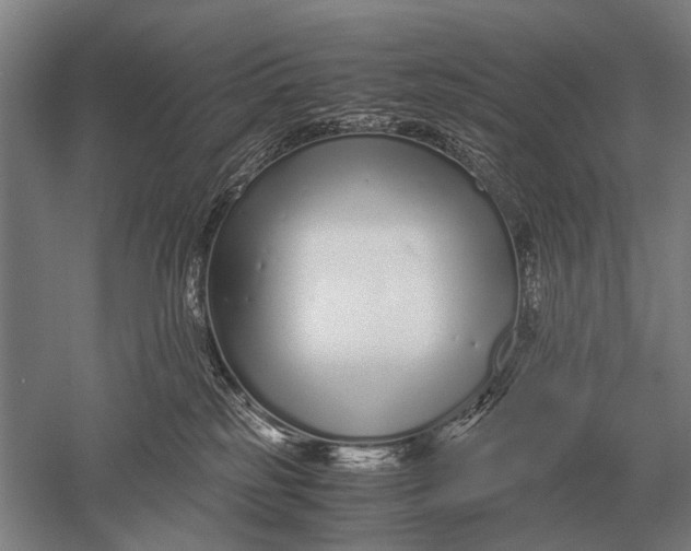 X0000051250185200507082200