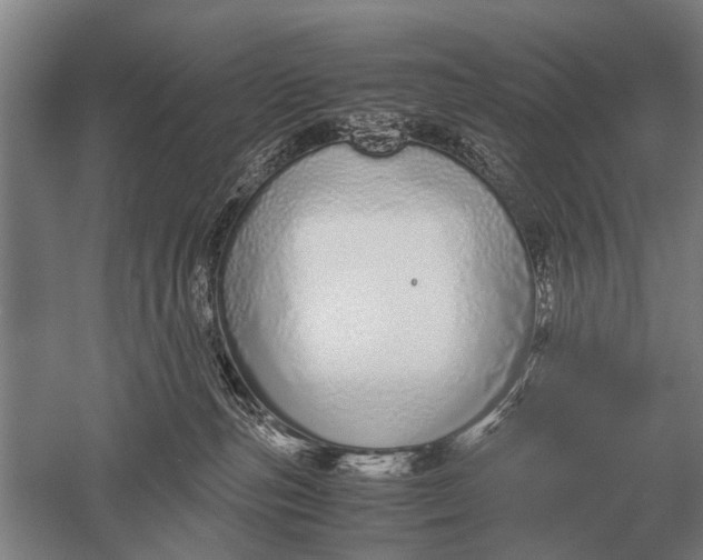 X0000051250187200507082200