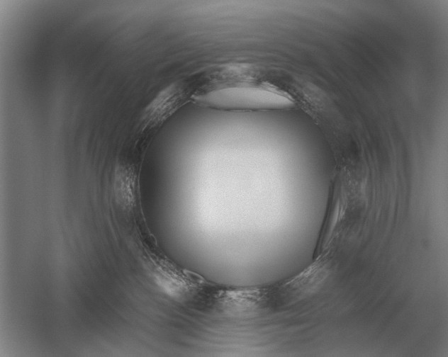 X0000051250188200507082200