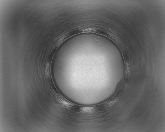 X0000051250189200507082200