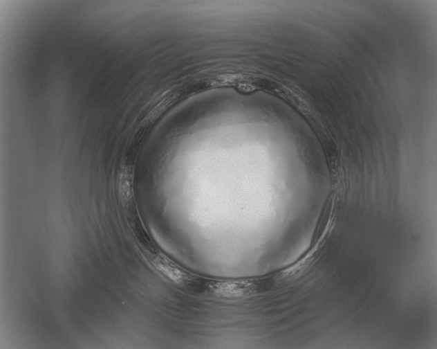 X0000051250191200507082200