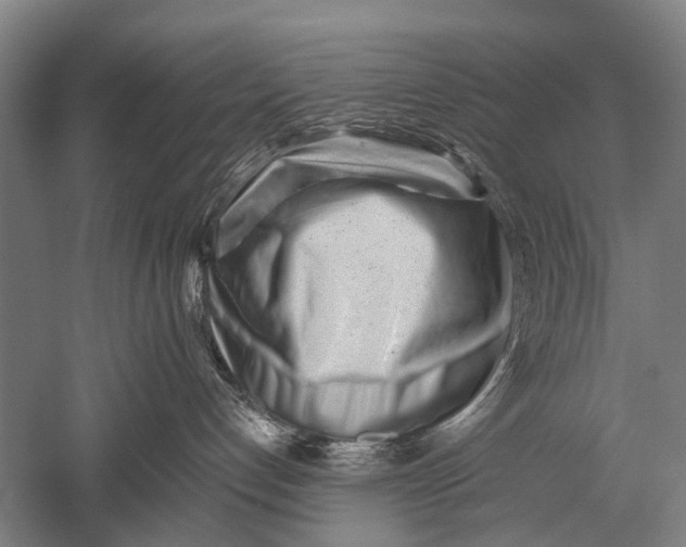 X0000051250192200507082200