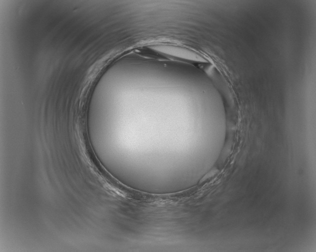 X0000051250193200507082159