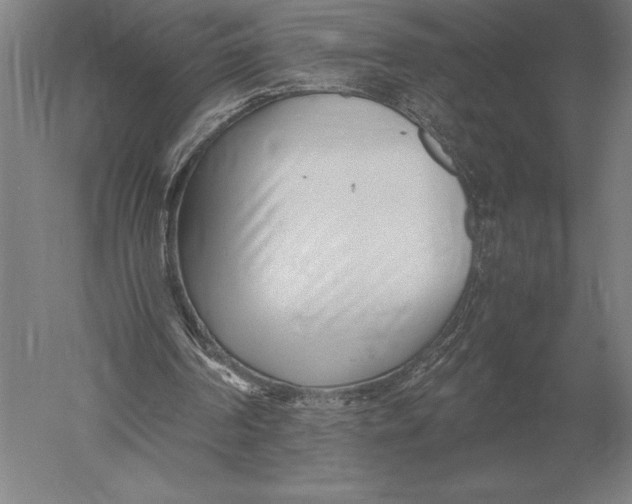 X0000051250194200507082159