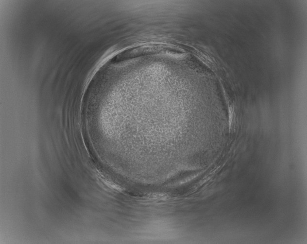 X0000051250195200507082159