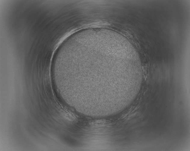 X0000051250196200507082159