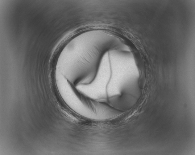 X0000051250197200507082159