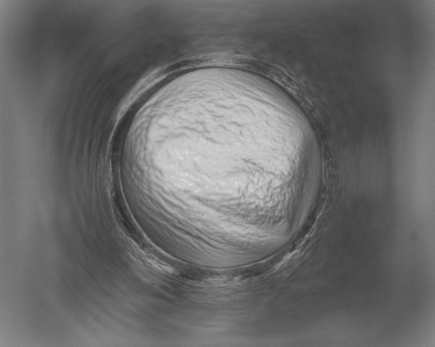 X0000051250198200507082159