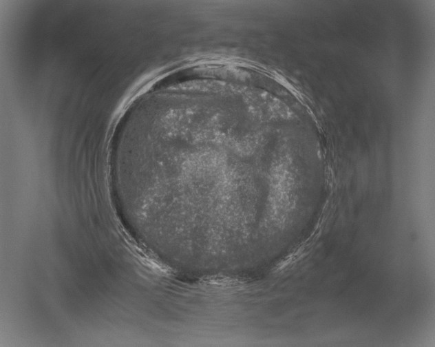 X0000051250199200507082159