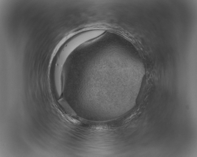 X0000051250200200507082159