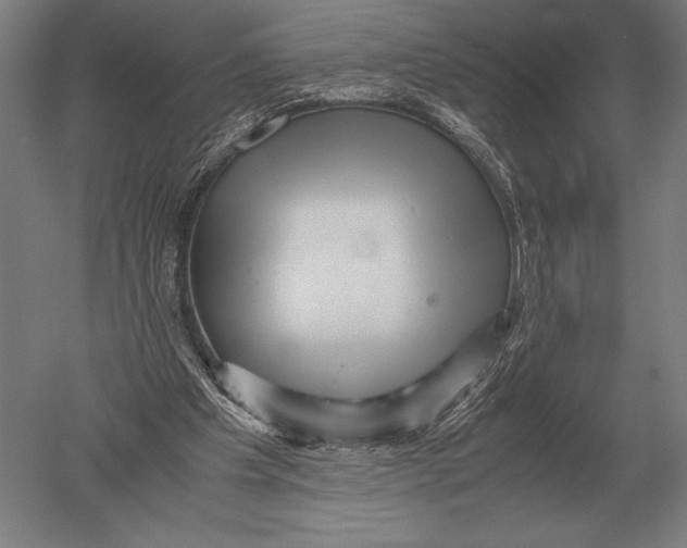 X0000051250201200507082159