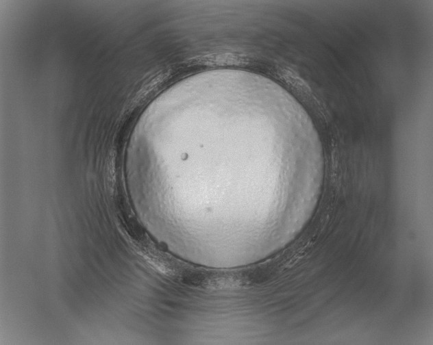 X0000051250202200507082159