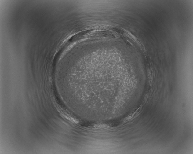 X0000051250203200507082159