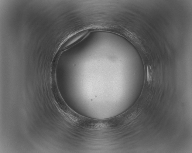 X0000051250204200507082159