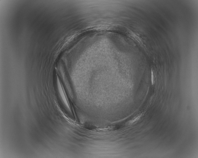 X0000051250205200507082159