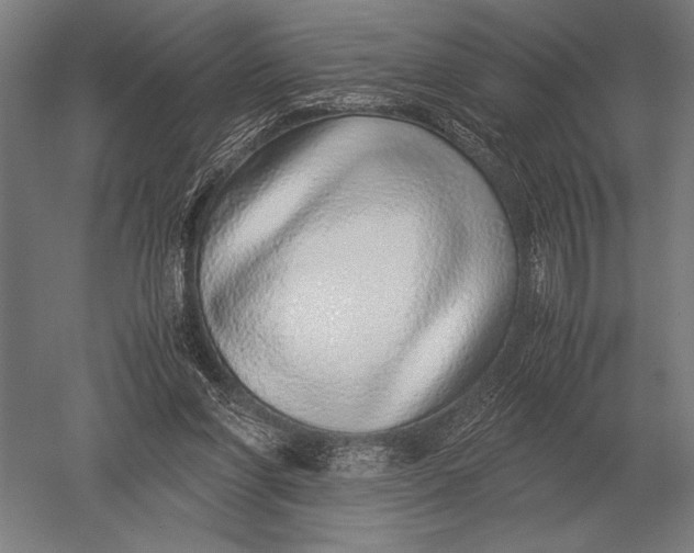 X0000051250206200507082159