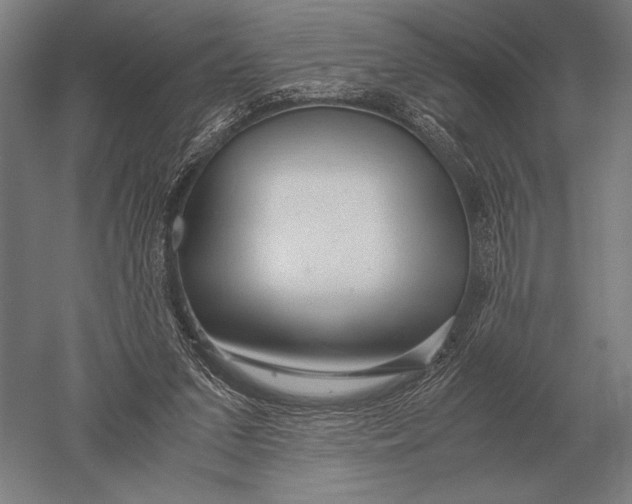 X0000051250207200507082159