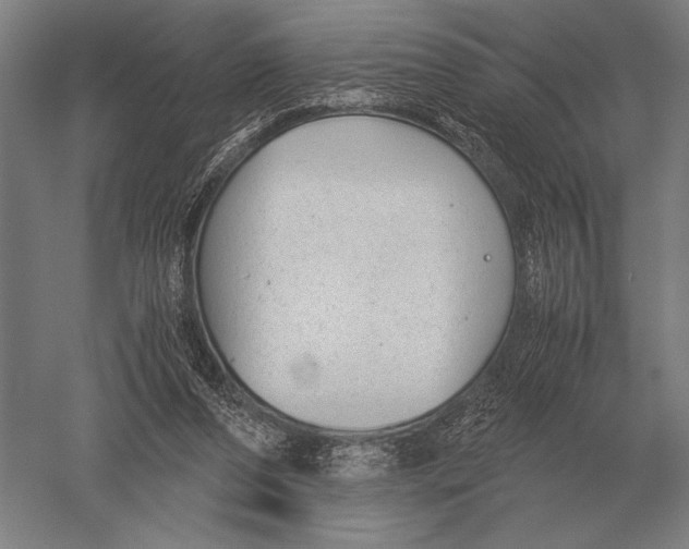 X0000051250208200507082159