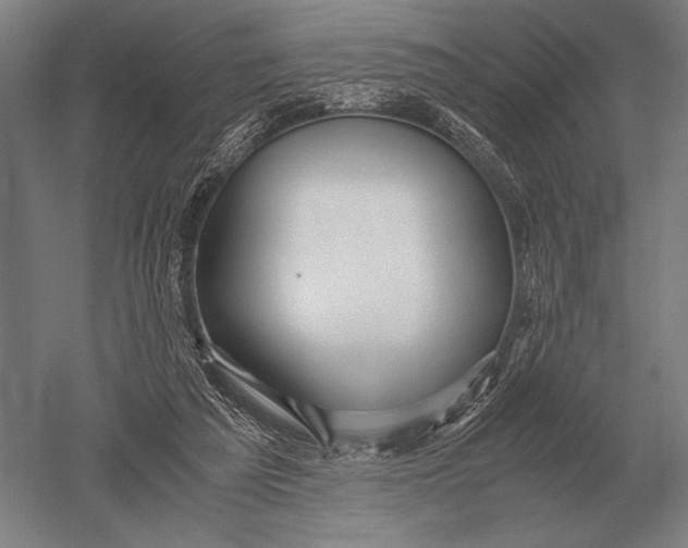 X0000051250209200507082159