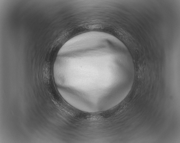 X0000051250210200507082159