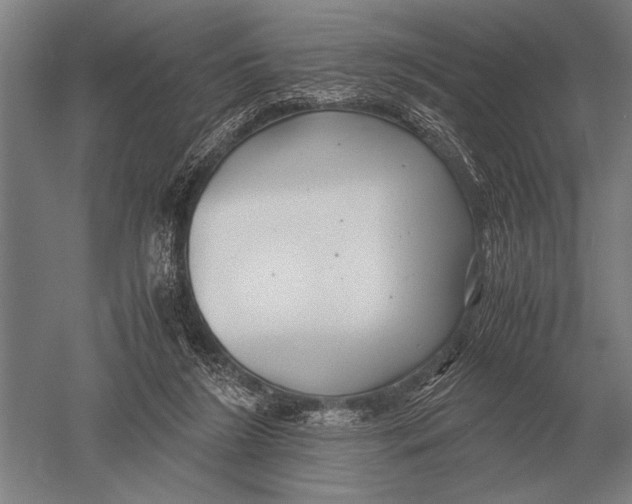 X0000051250212200507082159