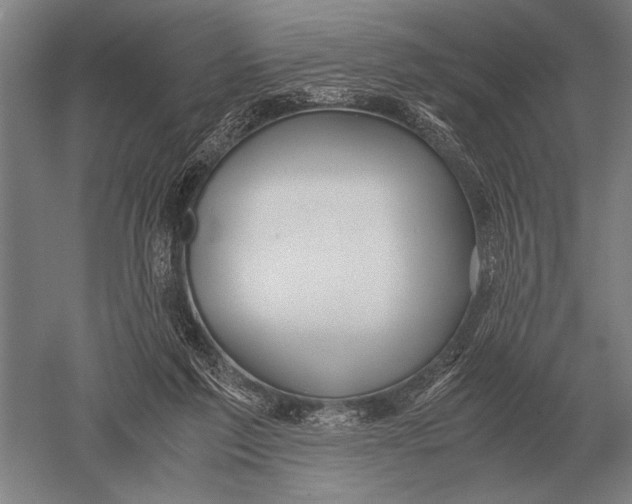 X0000051250213200507082159