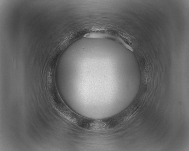 X0000051250215200507082159