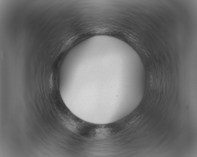 X0000051250216200507082159