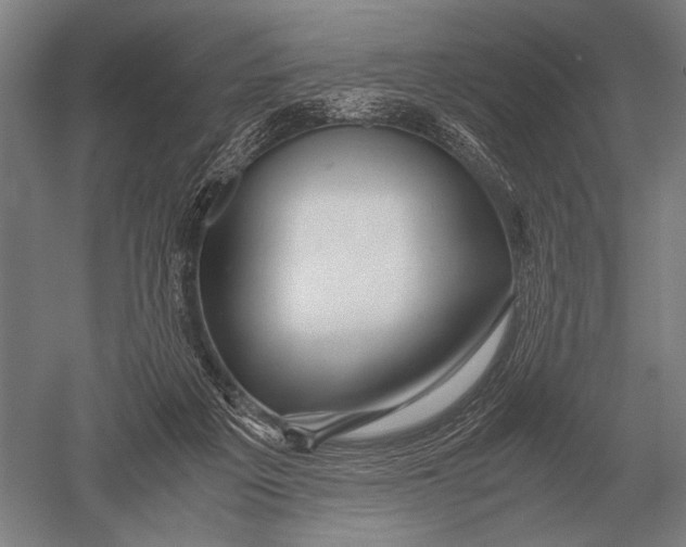 X0000051250217200507082159