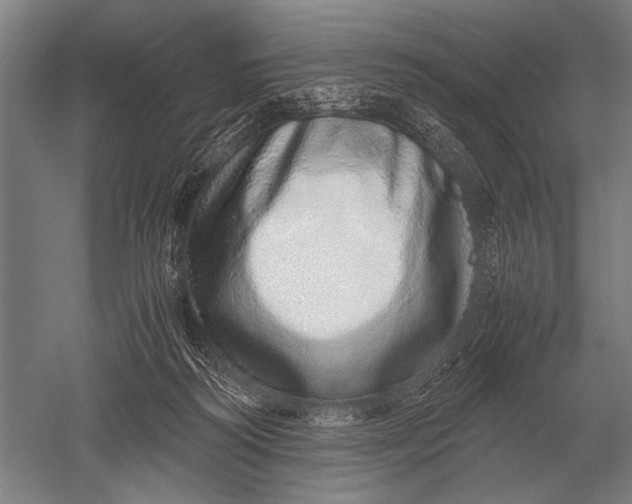 X0000051250218200507082159