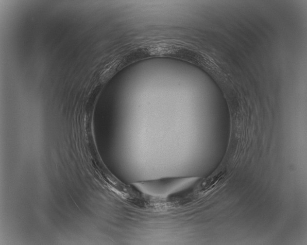 X0000051250219200507082159