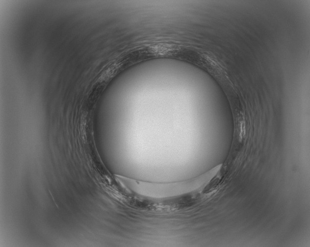 X0000051250221200507082158