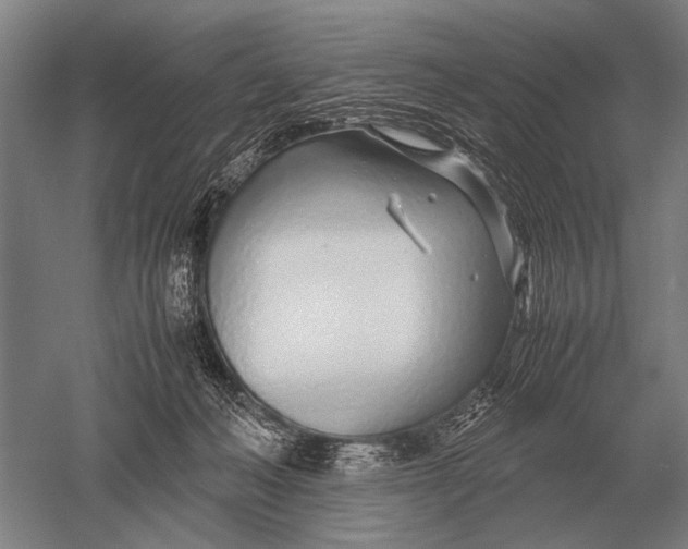 X0000051250222200507082158