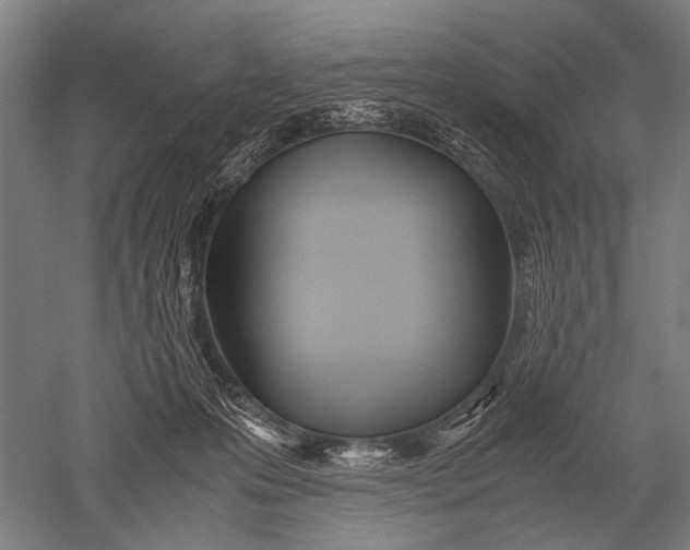 X0000051250223200507082158