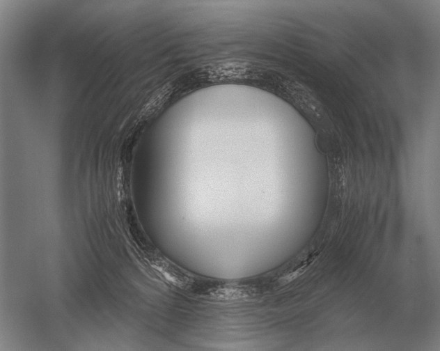 X0000051250224200507082158