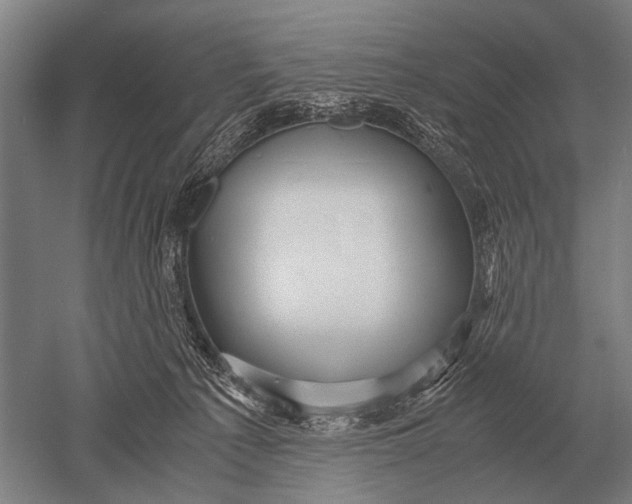 X0000051250225200507082158