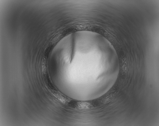 X0000051250226200507082158