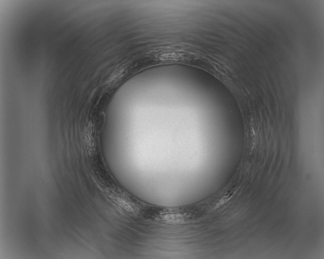 X0000051250228200507082158