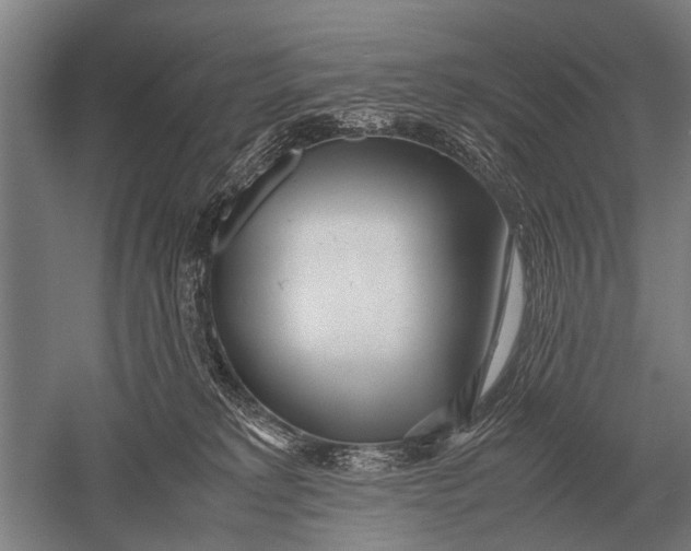 X0000051250229200507082158