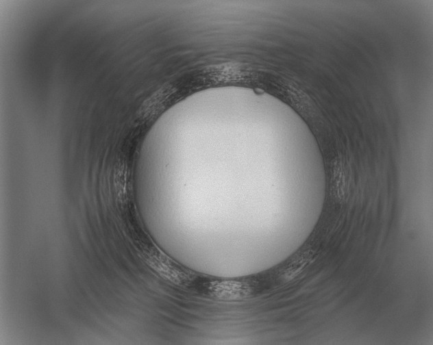 X0000051250230200507082158