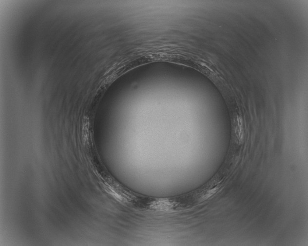 X0000051250231200507082158