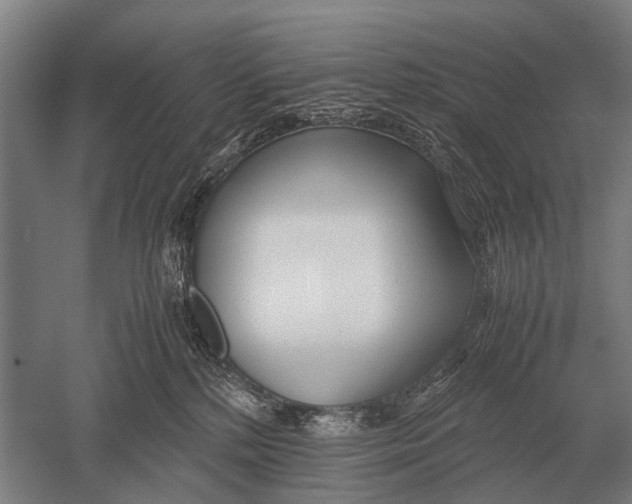 X0000051250232200507082158