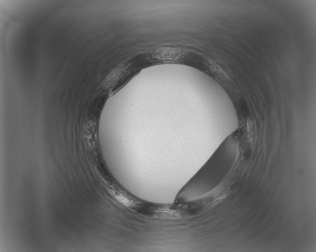 X0000051250237200507082158