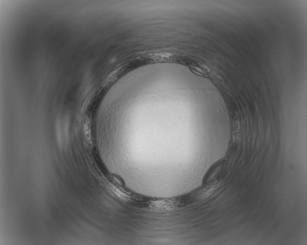 X0000051250238200507082158